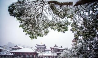 洛阳这些地方下雪了